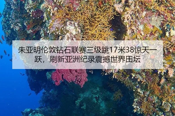 朱亚明伦敦钻石联赛三级跳17米38惊天一跃，刷新亚洲纪录震撼世界田坛